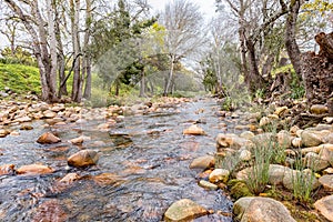 View of the Eerste River in Stellenbosch