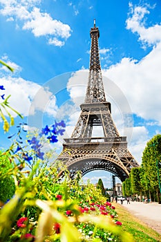 View of Eiffel Tower from Champ de Mars in Paris, France