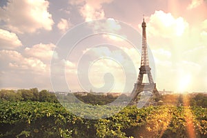 View on Eiffel tower through green summer trees with sunset rays. Beautiful Romantic background. Eiffel Tower from Champ