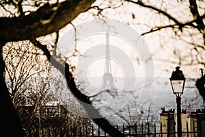 Eiffel Tower through the Trees