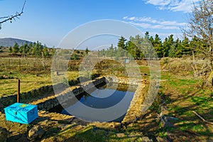 Ein Turbina turbine spring, Circassians pool, in the Golan Height photo