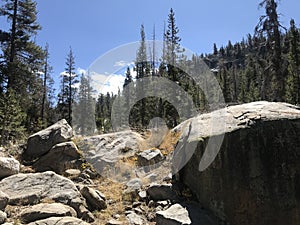 A view of Eldorado National Forest