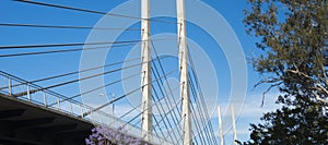 View of the Eleanor Schonell Bridge