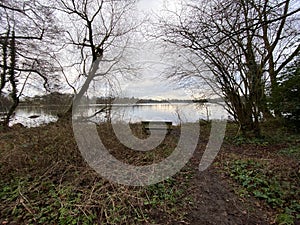 A view of Ellesmere Lake