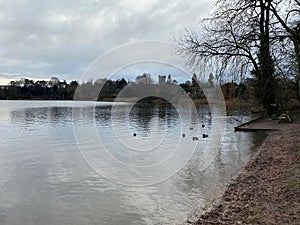 A view of Ellesmere Lake