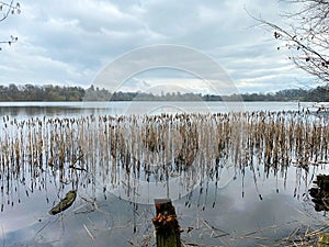 A view of Ellesmere Lake