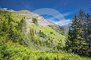 View of Elm village and Swiss mountains - Piz Segnas, Piz Sardona, Laaxer Stockli from Ampachli, Glarus, Switzerland, Europe photo