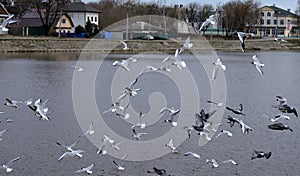 View on embankment of Seraya river of old town in spring, Aleksandrov, Vladimir Region, Russia