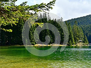 View of the emerald waters of the Black Lake in Montenegro