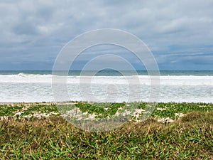 View of an empty Barra da Tijuca Beach with its waves and original vegetation, Rio de Janeiro, Brazil.