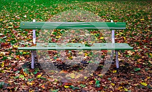 View of a empty bench in park during autumn