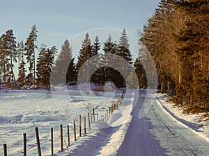 View of a empty country road during winter