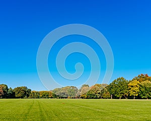 View of empty Great Lawn of Central Park under clear blue sky, in New York City, USA