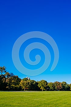 View of empty Great Lawn of Central Park under clear blue sky, in New York City, USA