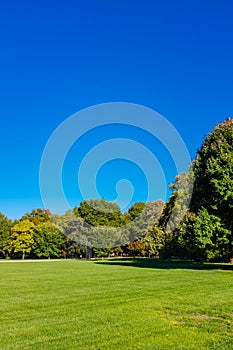 View of empty Great Lawn of Central Park under clear blue sky, in New York City, USA