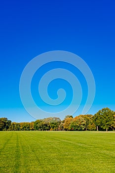 View of empty Great Lawn of Central Park under clear blue sky, in New York City, USA