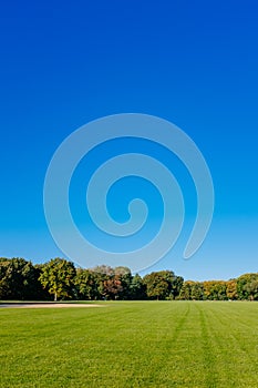 View of empty Great Lawn of Central Park under clear blue sky, in New York City, USA