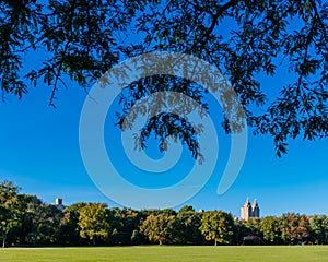 View of empty Great Lawn of Central Park under clear blue sky, in New York City, USA