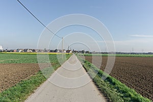 View of an empty green field with a cityline