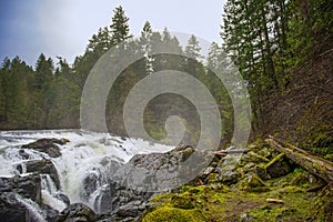 View of the Englishman River Falls in Vancouver Island, BC Canad