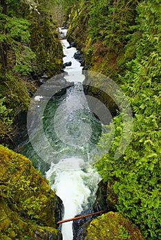 View of the Englishman River Falls in Vancouver Island, BC Canad