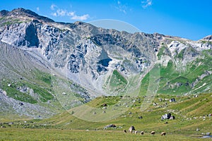 View of Engstligenalp from the Engstligengrat hiking trail, Swiss Alps, Switzerland