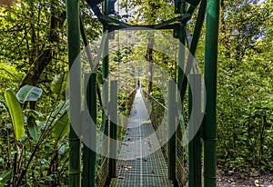 A view from the entrance to a 100m long suspended bridge in the cloud rain forest in Monteverde, Costa Rica photo