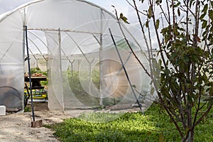 View of the entrance to a plastic greenhouse