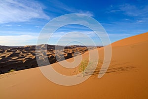 View of Erg Chebbi Dunes - Sahara Desert