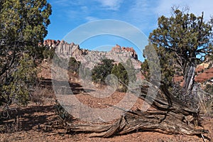 View from Escalate Grand Staircase National Monument