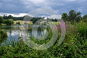 View of estate lake with purple flowers