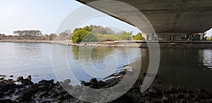 view of the estuary under the bridge at low tide.  bring coolness and serenity.