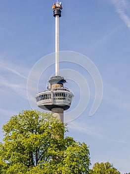 View of the Euromast tower in Rotterdam