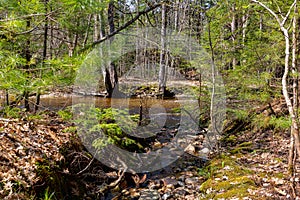 Water runoff flowing into a stream in the spring in Maine photo