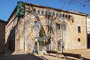 Harmonia building, in Hospitalet, Spain photo