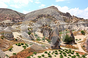 View of the Fairy Chimneys in GÃ¶reme National Park. Cappadocia, Central Anatolia, Turkey.