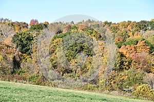 View of Fall Colors at Litchfield Hills from New Milford, Connecticut