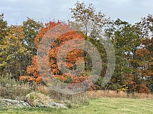 View of Fall Colors from the Mohawk Overlook in Goshen, Connecticut