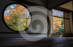 The view of fall colors through the windows at Genko-an Temple,Kita Ward,Kyoto,Japan