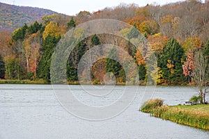 The view of the fall foliage near Mount Pisgah State Park, Troy, Pennsylvania, U.S