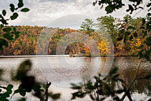 View of Fall Leaves on Lake 03