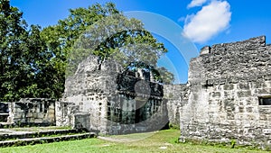 View of Famous ancient Mayan temples in Tikal National Park, Guatemala, Central America