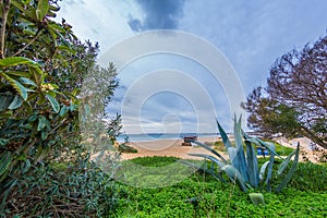 View of the famous beach in Alvor, Algarve, Portugal through flowering trees, agave and green vegetation. Beautiful sky and a