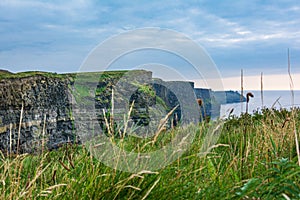 View of the famous Cliffs of Moher, County Clare, Ireland