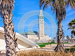 view of the famous Hassan II Mosque seen from the street