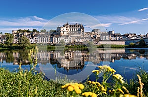 View of the famous historical Royal Castle reflected in the River Loire in France
