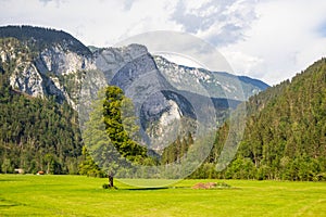 View of famous Logar Valley in Slovenia