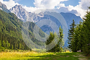 View of famous Logar Valley in Slovenia