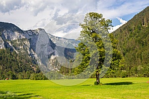 View of famous Logar Valley in Slovenia