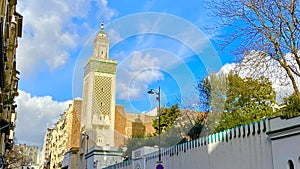 A view of the famous mosque in Paris